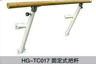 HG-TC017固定式把杆