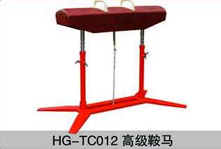 HG-TC012高级鞍马
