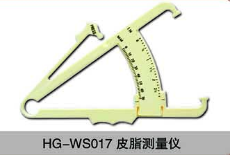 HG-WS017皮脂测量仪